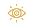 vision